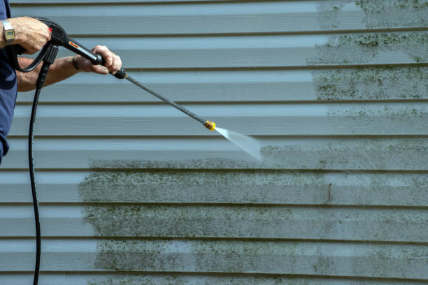 Best Roof Power Washing Services  in Waterloo, IN