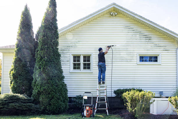 Best Deck Cleaning Services  in Waterloo, IN