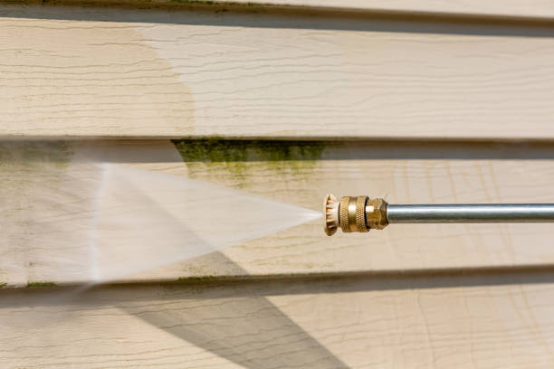 Best Affordable Pressure Washing  in Waterloo, IN