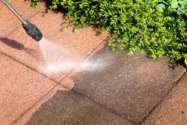 Best Commercial Building Pressure Washing  in Waterloo, IN